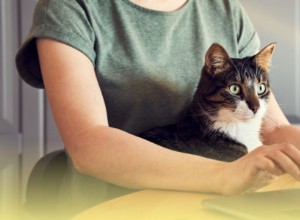 3 errori da evitare nei tuoi video sui social media per ottenere contatti 