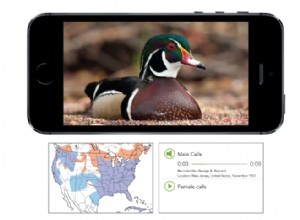 Questo software intelligente può identificare automaticamente gli uccelli nelle tue foto 