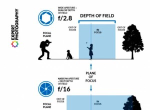 Tutto quello che devi sapere sulla profondità di campo 