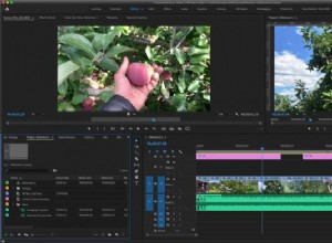 Adobe After Effects vs. Premiere:srovnání vedle sebe 