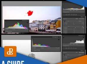 Una guida pratica all istogramma di Lightroom 