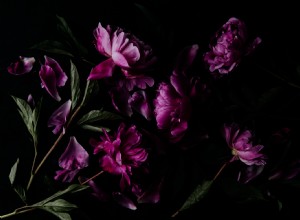 Come applicare la teoria compositiva alla fotografia di nature morte 