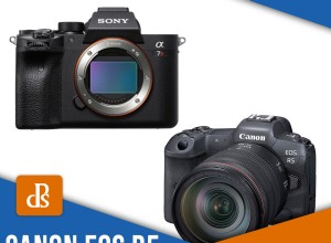 Canon EOS R5 vs Sony a7R IV:¿Qué cámara debería comprar? 