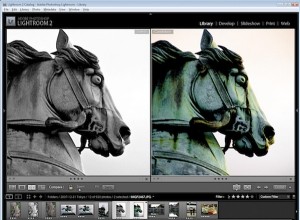Lavorare con le copie virtuali in Lightroom 