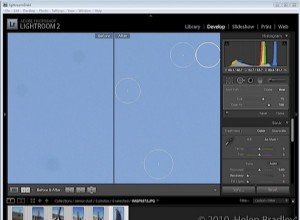 Cómo eliminar el polvo del sensor con Lightroom 