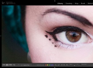 Haz que Lightroom sea más rápido usando DNG 