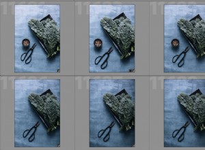 Hoe u uw foto s in de Lightroom-catalogus kunt vinden met behulp van filters 
