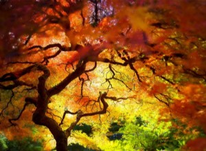 Fotografia autunnale (autunnale):catturare i colori 