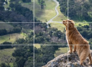 ¿Qué es la regla de los tercios? (¡Y cómo usarlo en las fotos!) 