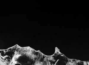 La guía definitiva de consejos y técnicas de fotografía artística 