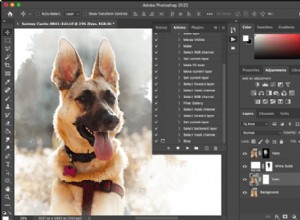 Come installare le azioni di Photoshop (semplice guida passo passo!) 