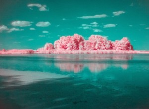 基本的なカメラギアで赤外線写真を撮る方法 
