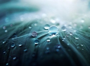 21 fantastiche idee per la fotografia macro da provare oggi 