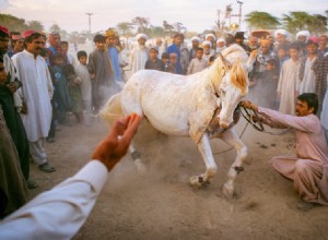 Ed Kashi:40 anni di momenti abbandonati 