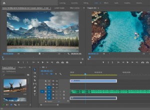 Premiere Pro vs. After Effects:Jaký software zvolit 