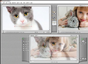 I 5 migliori software e applicazioni per il morphing fotografico che potrebbero piacerti 
