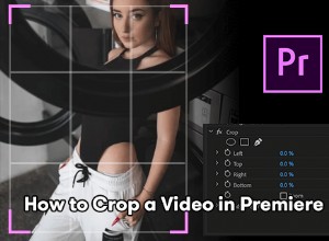 2022 年に Premiere Pro でビデオを簡単にクロップおよびサイズ変更する方法