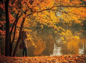 2017 年にあなたがより良い写真家になる 7 つの理由