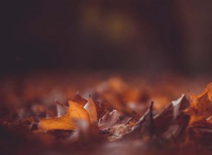 秋の素晴らしい写真を撮るための 20 の秋の写真のヒント