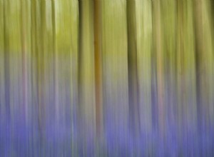 意図的なカメラの動きに関する簡単なガイド