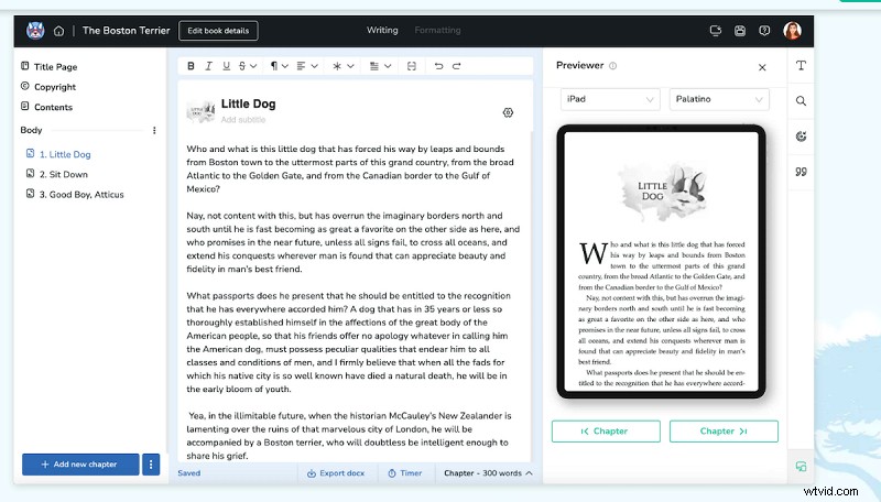 Beste AI-software voor het schrijven van nieuwe boeken:verhoog de creativiteit en productiviteit 