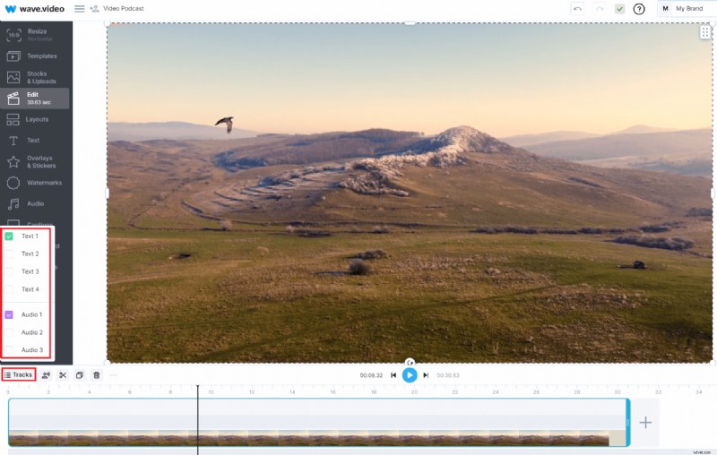 Eenvoudige voice-overgids:voeg online professionele audio toe aan uw video s 