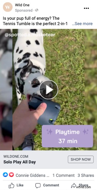 Conversies genereren:waarom videoadvertenties relevante bestemmingspagina s nodig hebben 