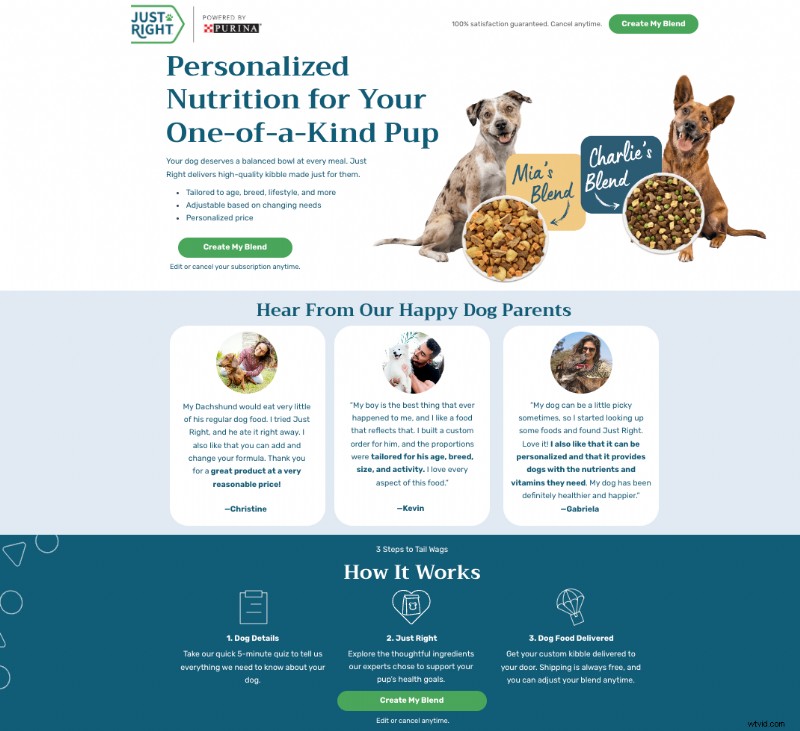 Conversies genereren:waarom videoadvertenties relevante bestemmingspagina s nodig hebben 