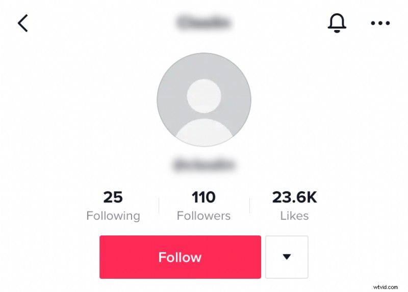 Oltre 10 immagini creative del profilo TikTok per distinguersi (2024) 