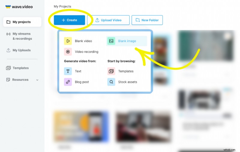Oltre 10 immagini creative del profilo TikTok per distinguersi (2024) 