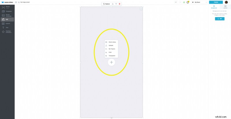 Oltre 10 immagini creative del profilo TikTok per distinguersi (2024) 