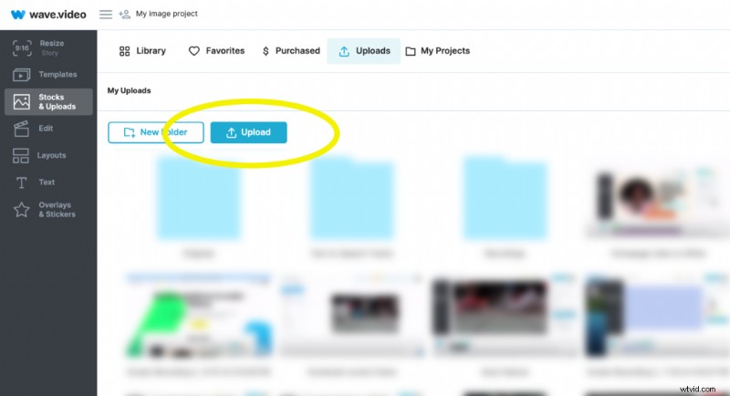 Oltre 10 immagini creative del profilo TikTok per distinguersi (2024) 