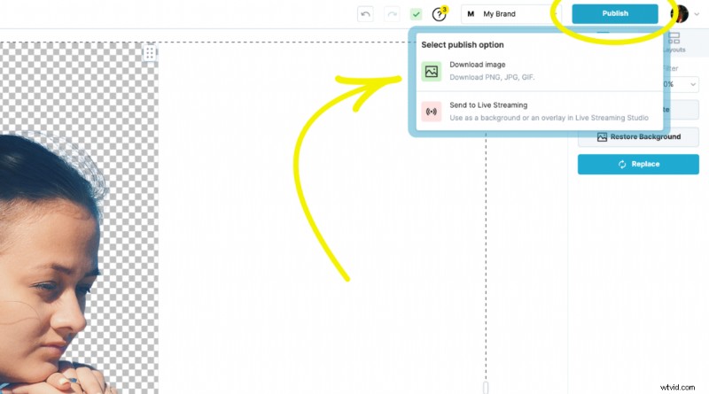 Oltre 10 immagini creative del profilo TikTok per distinguersi (2024) 