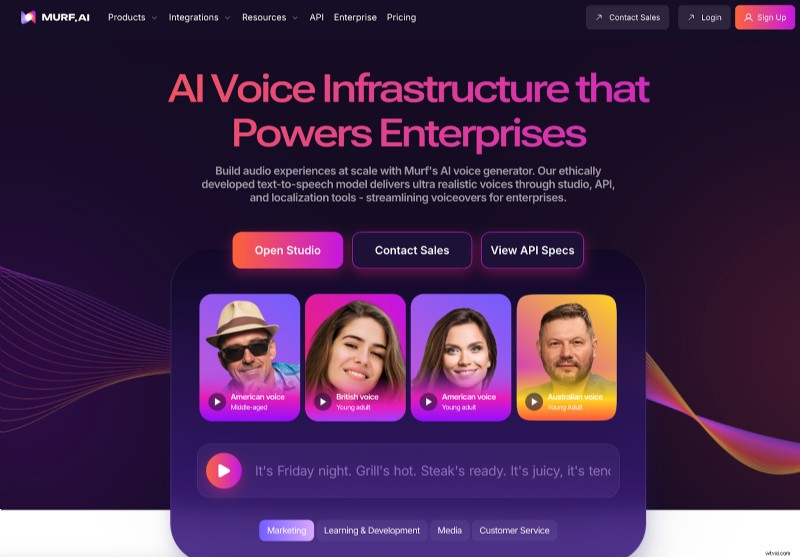 Top voice-oversoftware van 2025:recensies en vergelijkingen 