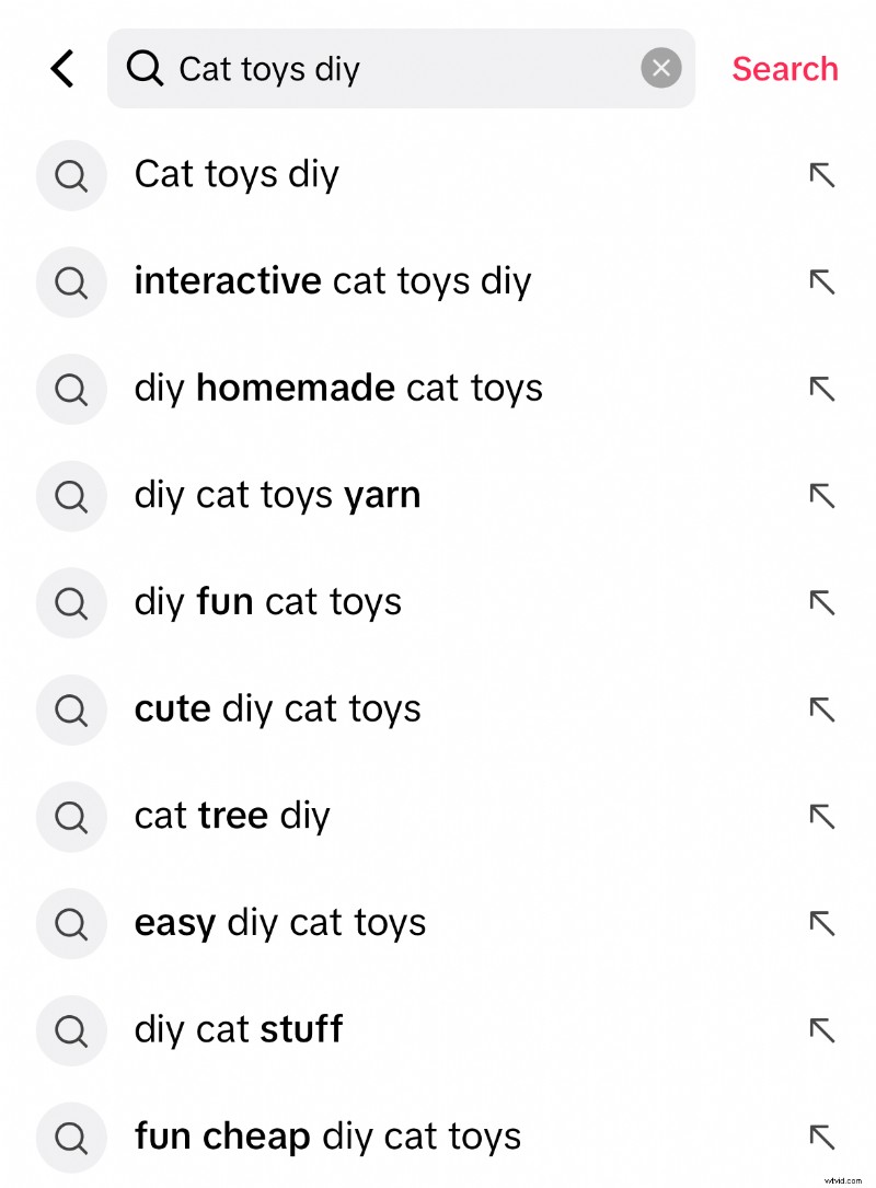 TikTok Video SEO 2024:optimaliseer uw inhoud voor viraal bereik 