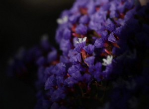 Buitenfotografie beheersen met draagbare studiolampen:een complete gids 