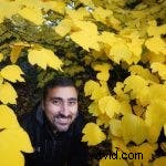 Sony A9 III met Global Shutter:een revolutie in flitsfotografie 