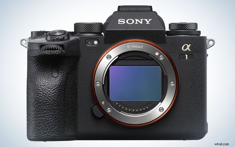 Top wildcamera s van 2023:beoordelingen en aanbevelingen 