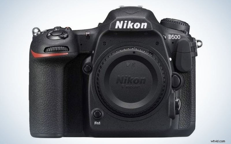 Top wildcamera s van 2023:beoordelingen en aanbevelingen 