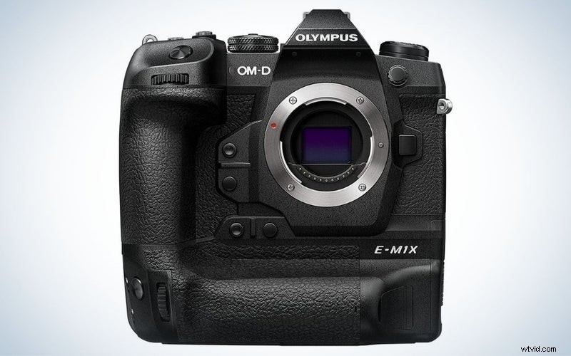 Top wildcamera s van 2023:beoordelingen en aanbevelingen 