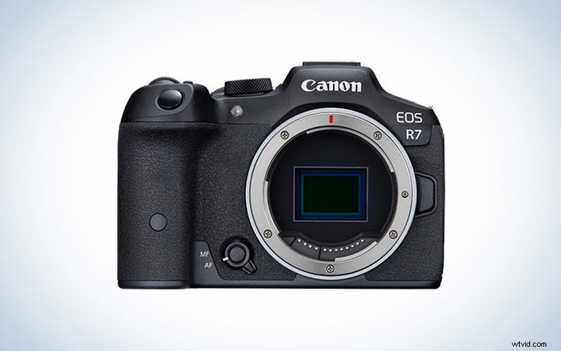 Topvogelfotografiecamera s van 2023:beoordelingen en aanbevelingen 