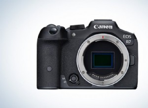 Top Bird Photography Cameras of 2023: Reviews & Recommendations