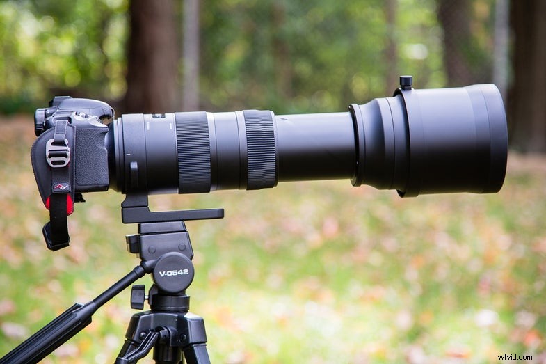Sigma 150-600mm F/5-6.3 DG OS HSM Lens Review:een krachtige telezoom 