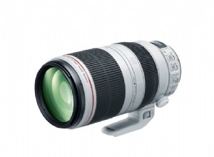Kort testrapport Canon EF 100-400mm F/4.5-5.6L IS II USM-lens:een moderne klassieker 