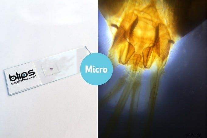 Blips:kleine smartphonelenzen voor macro- en microfotografie - Kickstarter 