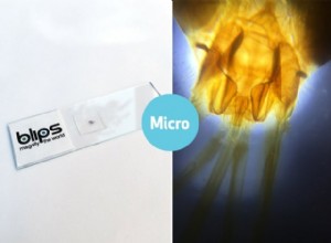 Blips:kleine smartphonelenzen voor macro- en microfotografie - Kickstarter 