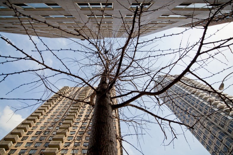 Kort testrapport Zeiss Distagon 15 mm f/2.8 ZE-lens:scherpte en prestaties 