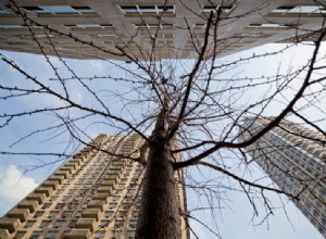 Zeiss Distagon 15mm f/2.8 ZE レンズレビュー:シャープネスとパフォーマンス 