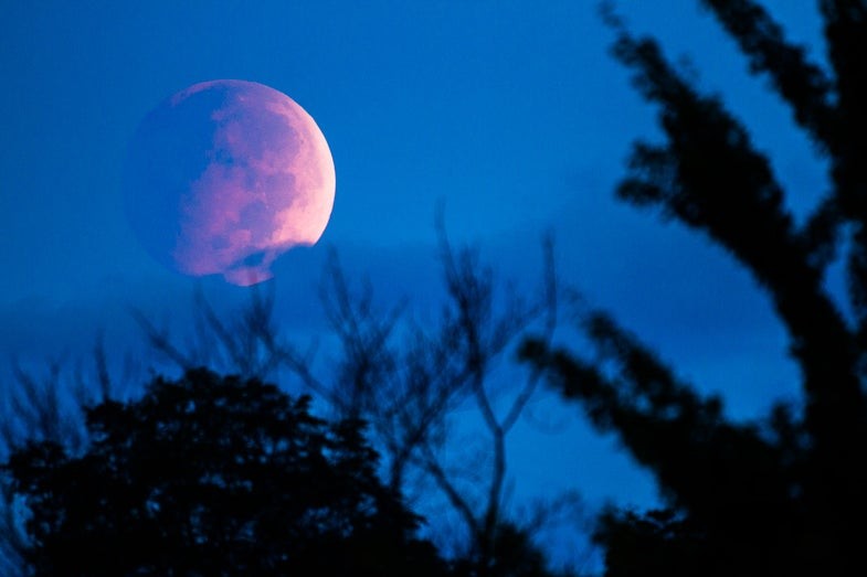 Sigma 150-600mm F/5-6.3 DG OS HSM Review en voorbeeldafbeeldingen 