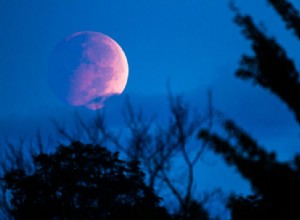 Sigma 150-600mm F/5-6.3 DG OS HSM Review en voorbeeldafbeeldingen 